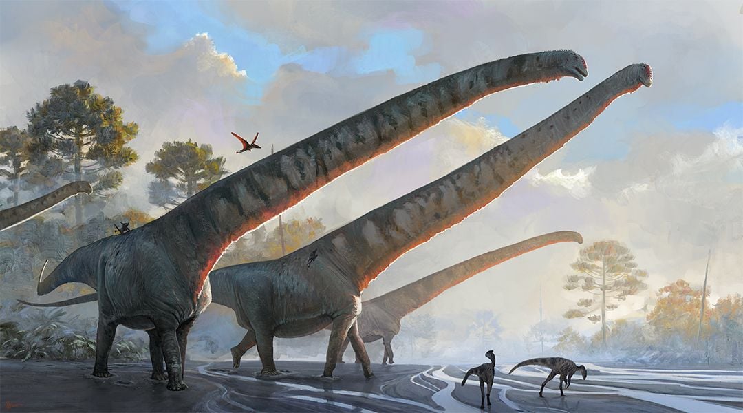 Scientists Uncover Previously Unknown Long-Necked Dinosaur